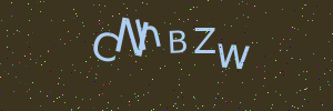 Validation image