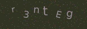 Validation image