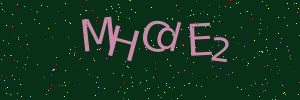 Validation image